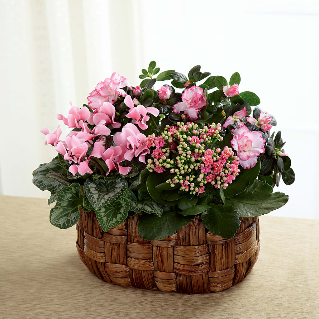 Pink Assortment – Willow Blooms Floral, Marlin TX