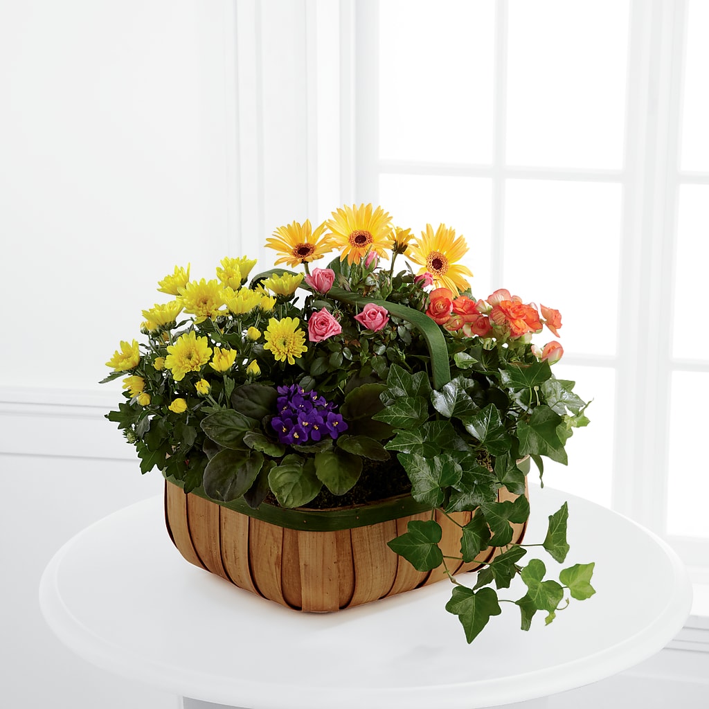 Gentle Blossoms Basket – Willow Blooms Floral, Marlin TX