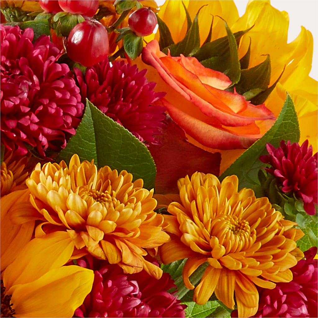 Sweater Season - A Florist Original – Willow Blooms Floral, Marlin TX