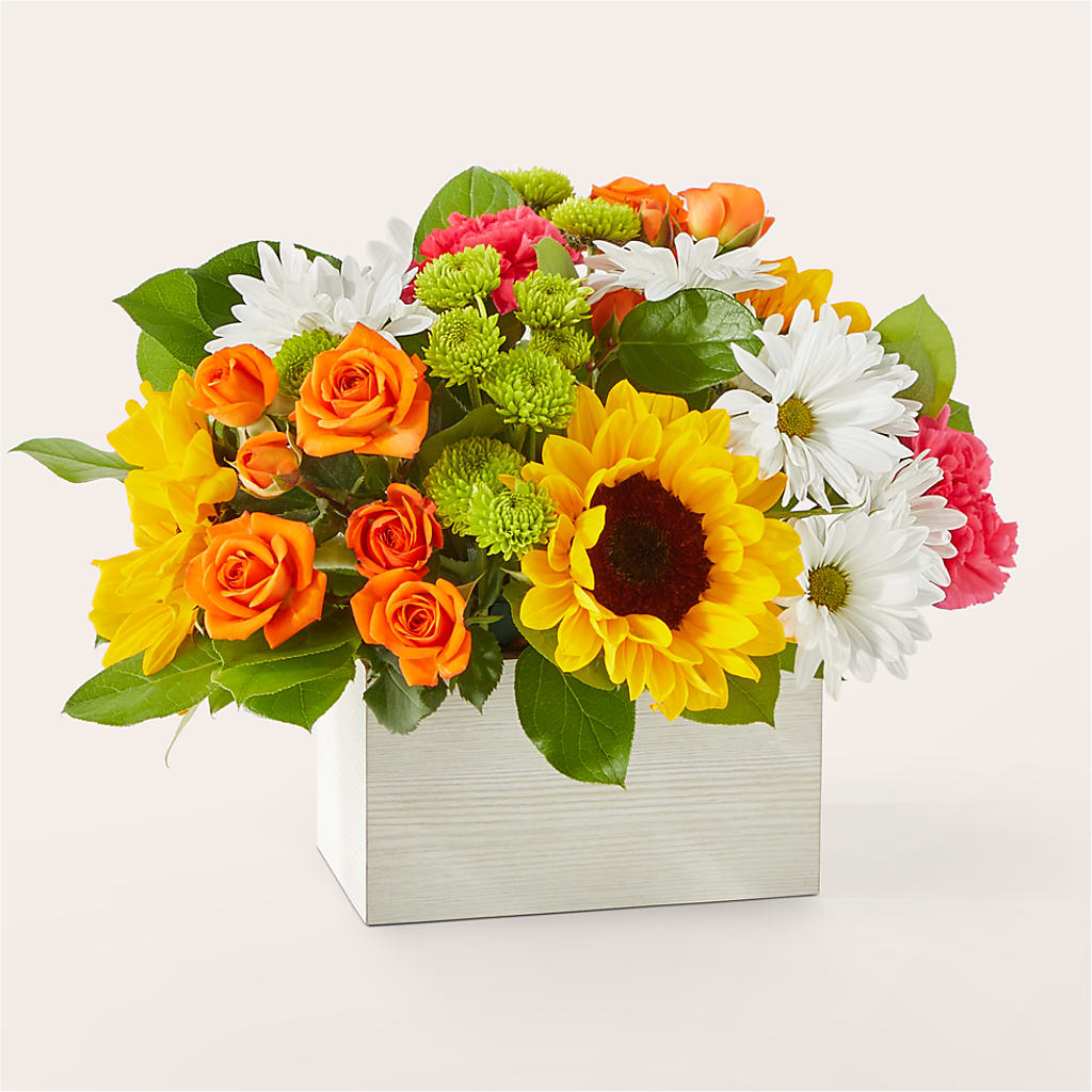 Sun-drenched Blooms Box Bouquet – Willow Blooms Floral, Marlin TX
