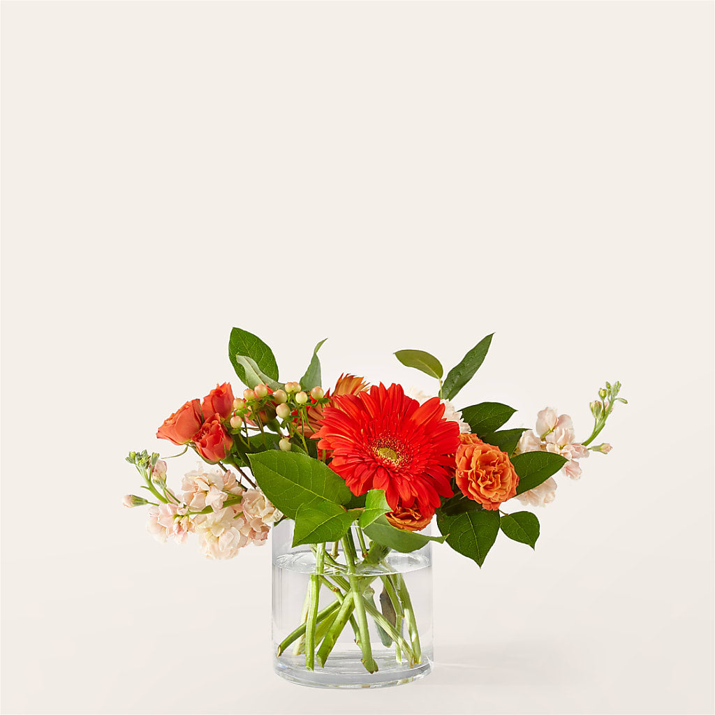 Paloma Please Bouquet – Willow Blooms Floral, Marlin TX