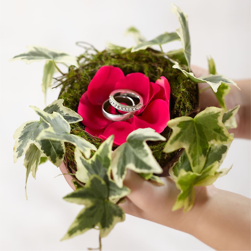 Lila Rose Ring Nest – Willow Blooms Floral, Marlin TX