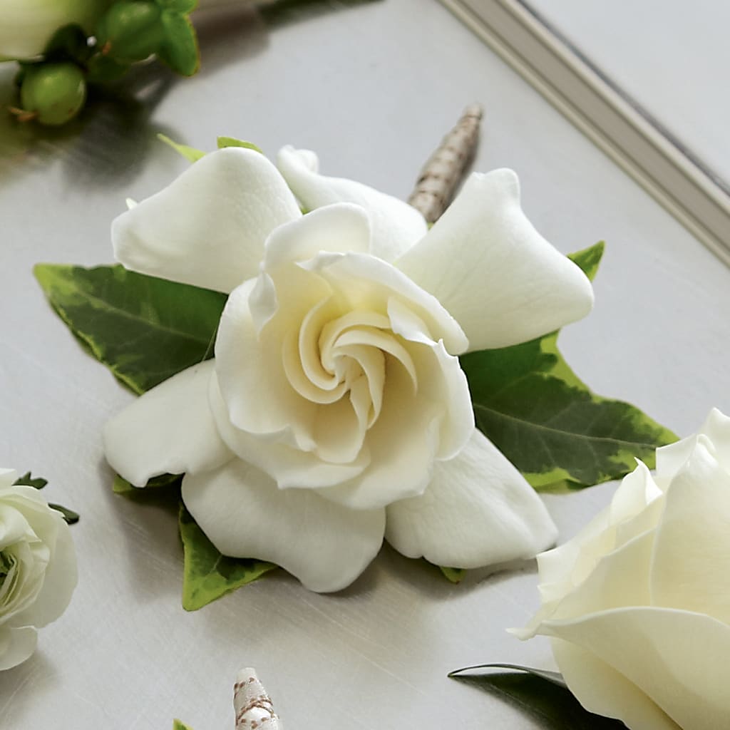 Gardenia Boutonniere – Willow Blooms Floral, Marlin TX