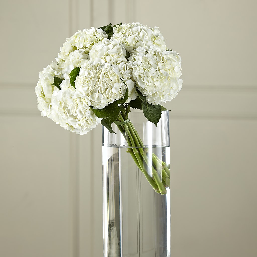 White Hydrangea Hand-Tied Bouquet – Willow Blooms Floral, Marlin TX