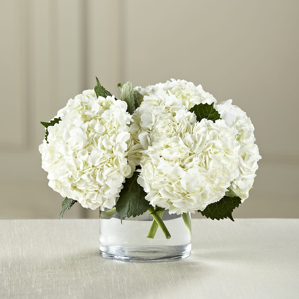 White Hydrangea Bouquet – Willow Blooms Floral, Marlin TX