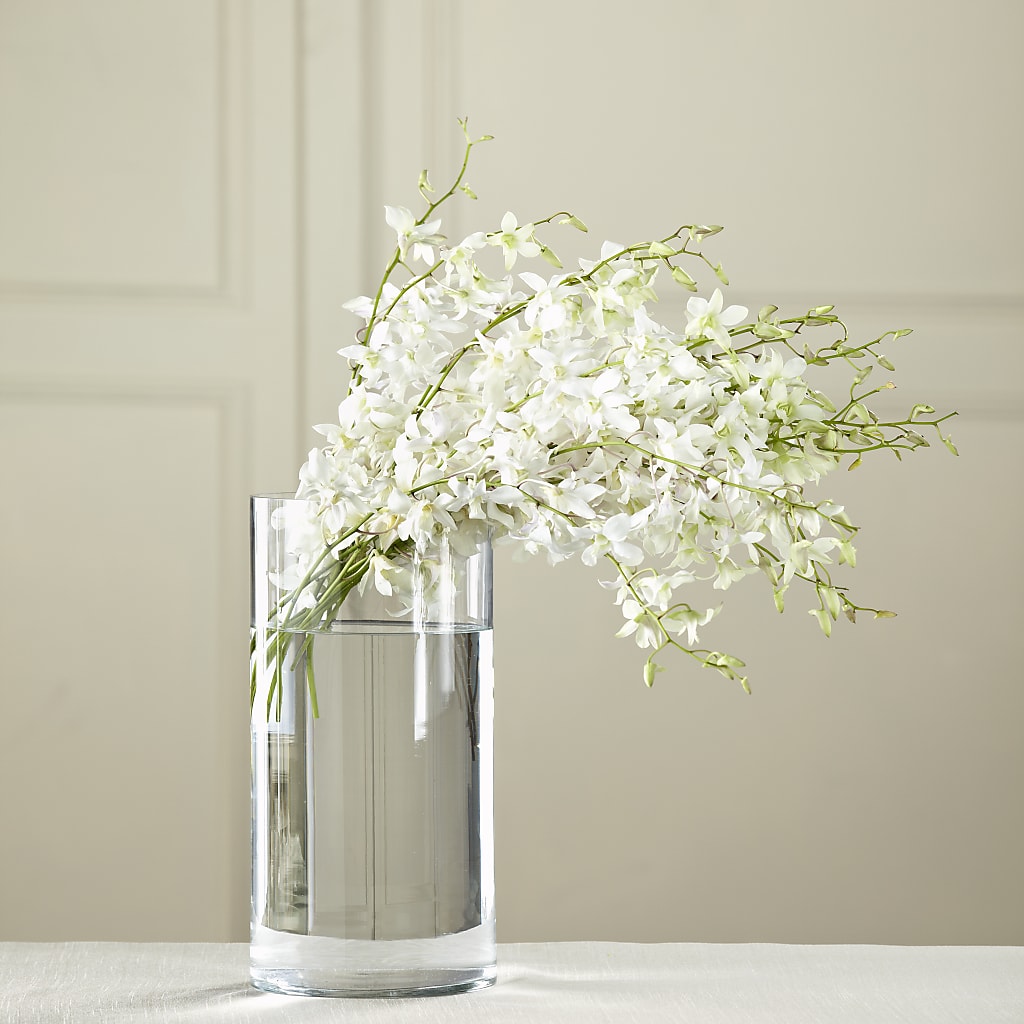 White Dendrobium Bouquet – Willow Blooms Floral, Marlin TX