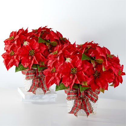 Happiest Holidays Poinsettia Bundle –  Willow Blooms Floral, Marlin TX