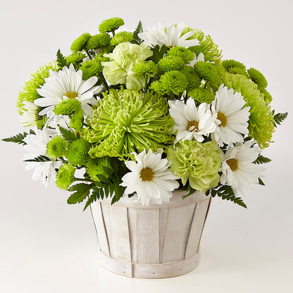 Lucky Charm Basket (Standard) –  Willow Blooms Floral, Marlin TX