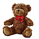 Adorable Plush Bear –  Willow Blooms Floral, Marlin TX