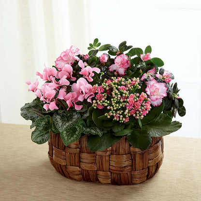 Pink Assortment –  Willow Blooms Floral, Marlin TX