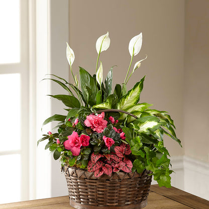 Dream in Pink Dishgarden –  Willow Blooms Floral, Marlin TX
