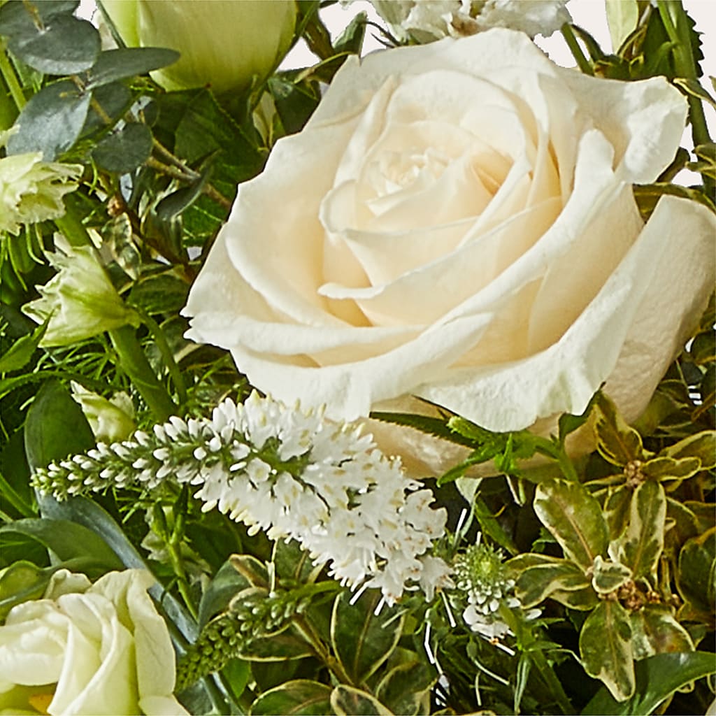Cashmere Bouquet –  Willow Blooms Floral, Marlin TX