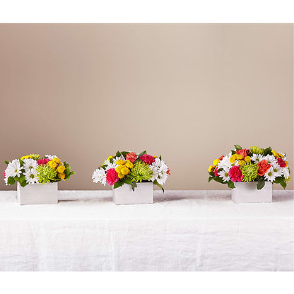 Sorbet Bouquet –  Willow Blooms Floral, Marlin TX