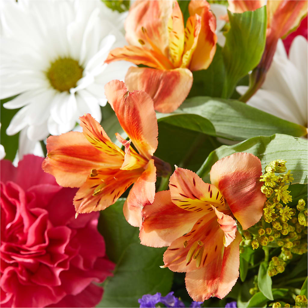 Oopsie Daisy Box Bouquet –  Willow Blooms Floral, Marlin TX
