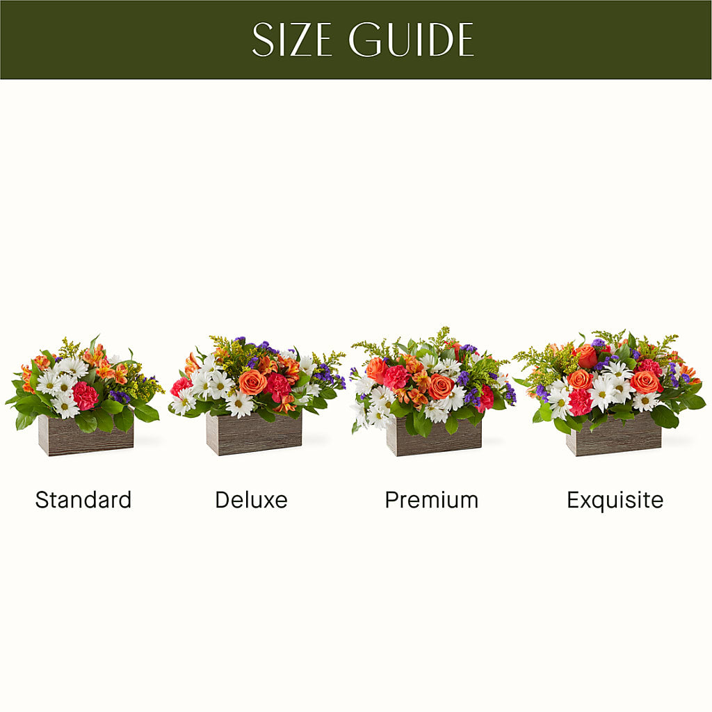 Oopsie Daisy Box Bouquet –  Willow Blooms Floral, Marlin TX