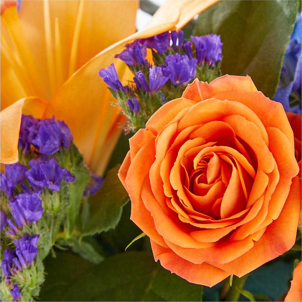 Radiant Citrus Box Bouquet –  Willow Blooms Floral, Marlin TX