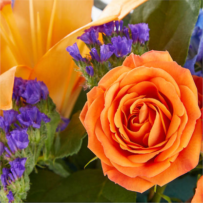 Radiant Citrus Box Bouquet –  Willow Blooms Floral, Marlin TX