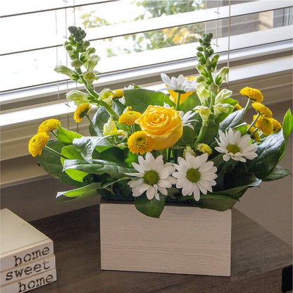 Sun Salutation Box Bouquet –  Willow Blooms Floral, Marlin TX