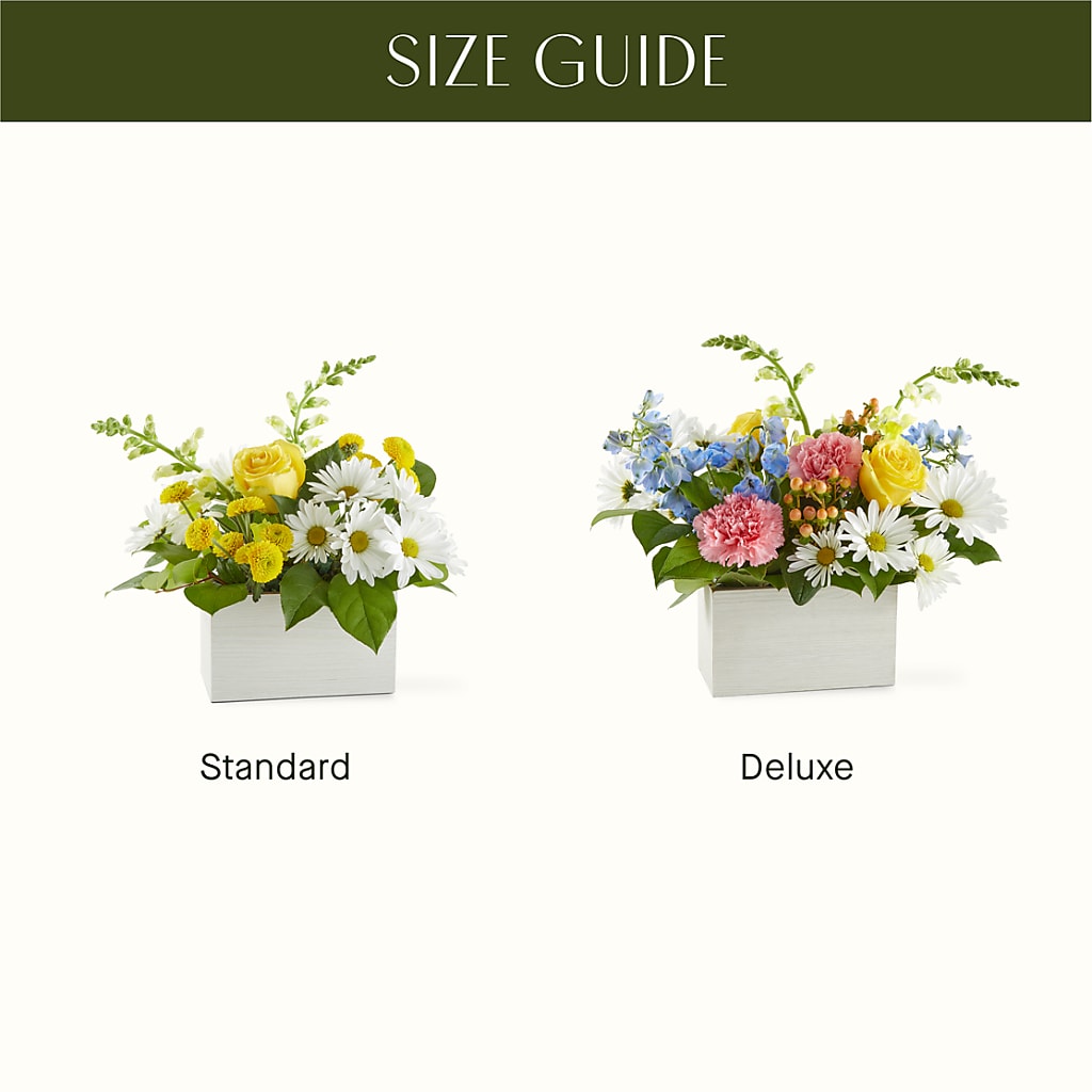 Sun Salutation Box Bouquet –  Willow Blooms Floral, Marlin TX