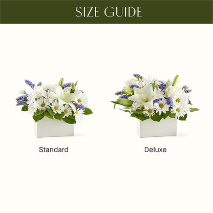 Beyond Blue Box Bouquet –  Willow Blooms Floral, Marlin TX