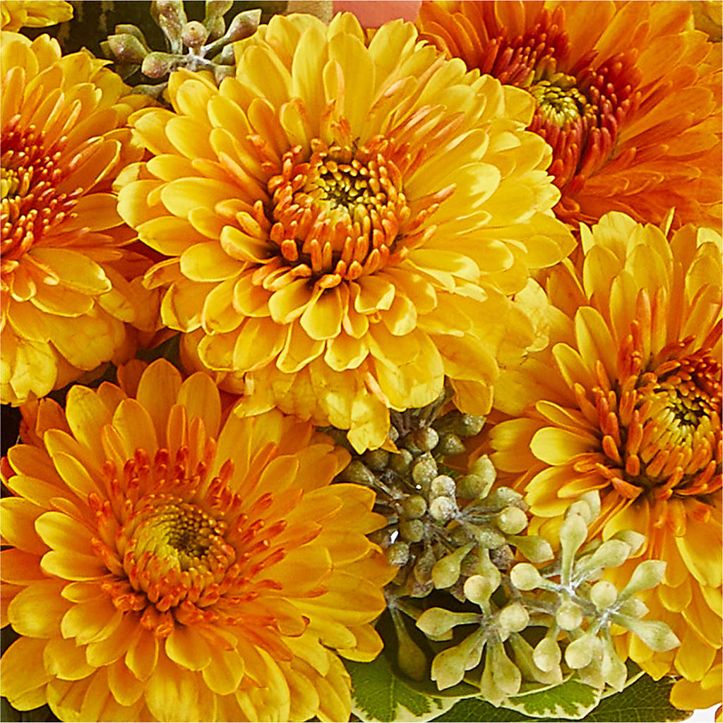 Peachy Pumpkin –  Willow Blooms Floral, Marlin TX