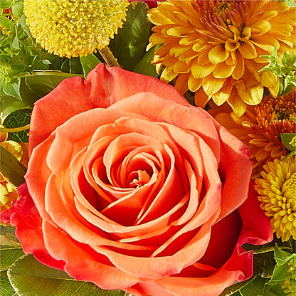 Gourdgeous Pumpkin –  Willow Blooms Floral, Marlin TX