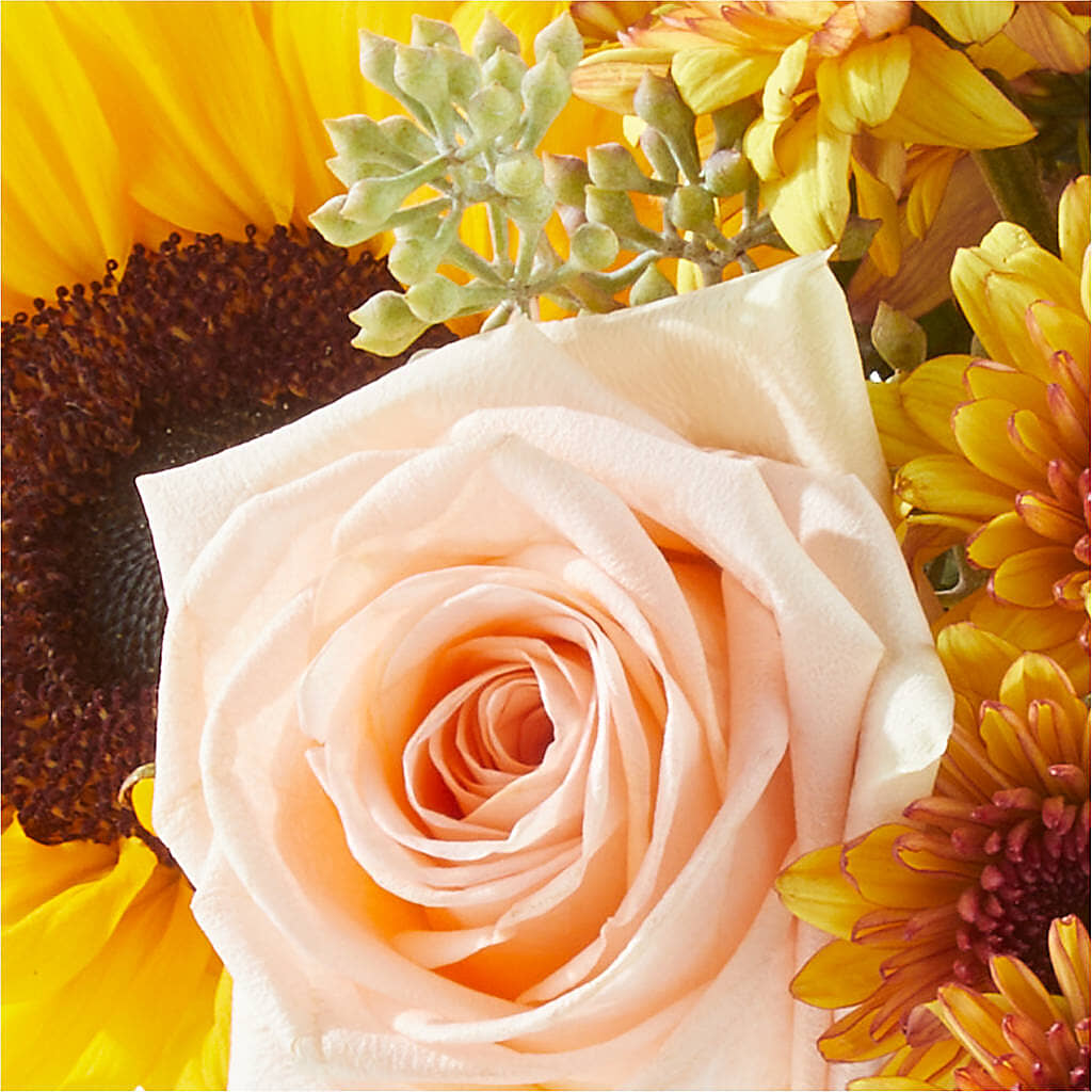 Pumpkin to Talk About Bouquet –  Willow Blooms Floral, Marlin TX