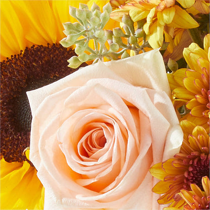 Pumpkin to Talk About Bouquet –  Willow Blooms Floral, Marlin TX