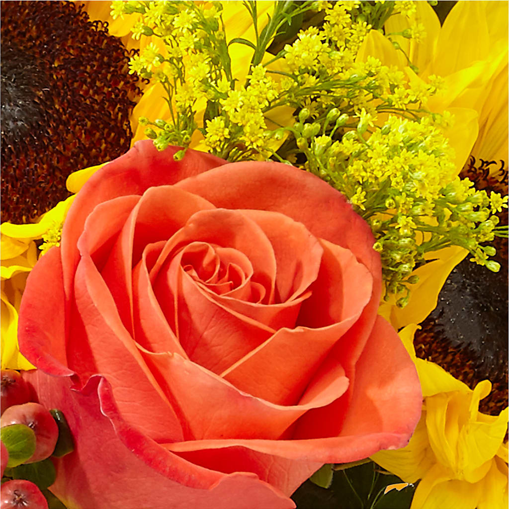 Pick of the Patch Pumpkin Bouquet –  Willow Blooms Floral, Marlin TX