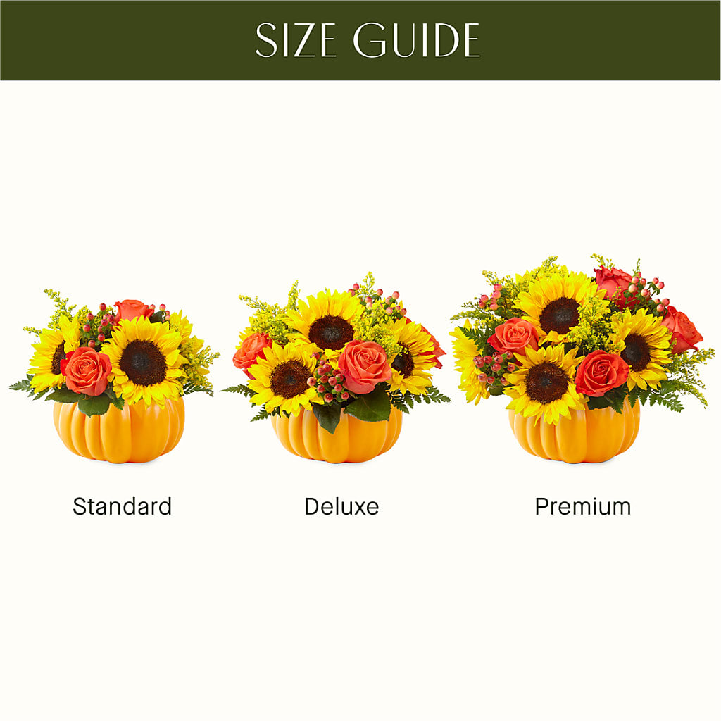 Pick of the Patch Pumpkin Bouquet –  Willow Blooms Floral, Marlin TX