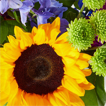 Catching Rays Bouquet –  Willow Blooms Floral, Marlin TX