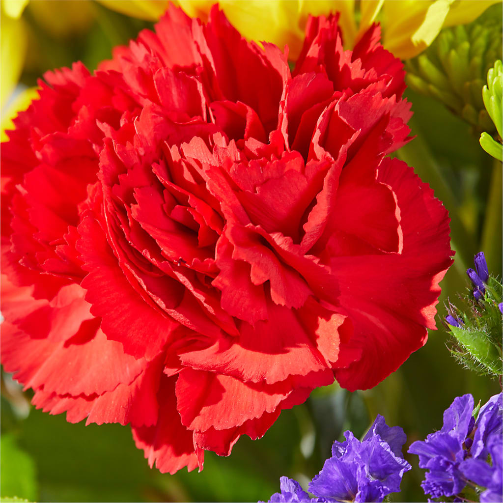 Brighter Days Bouquet –  Willow Blooms Floral, Marlin TX