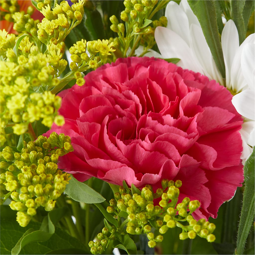 Oopsie Daisy Bouquet –  Willow Blooms Floral, Marlin TX
