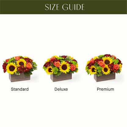 Happy Harvest Garden –  Willow Blooms Floral, Marlin TX