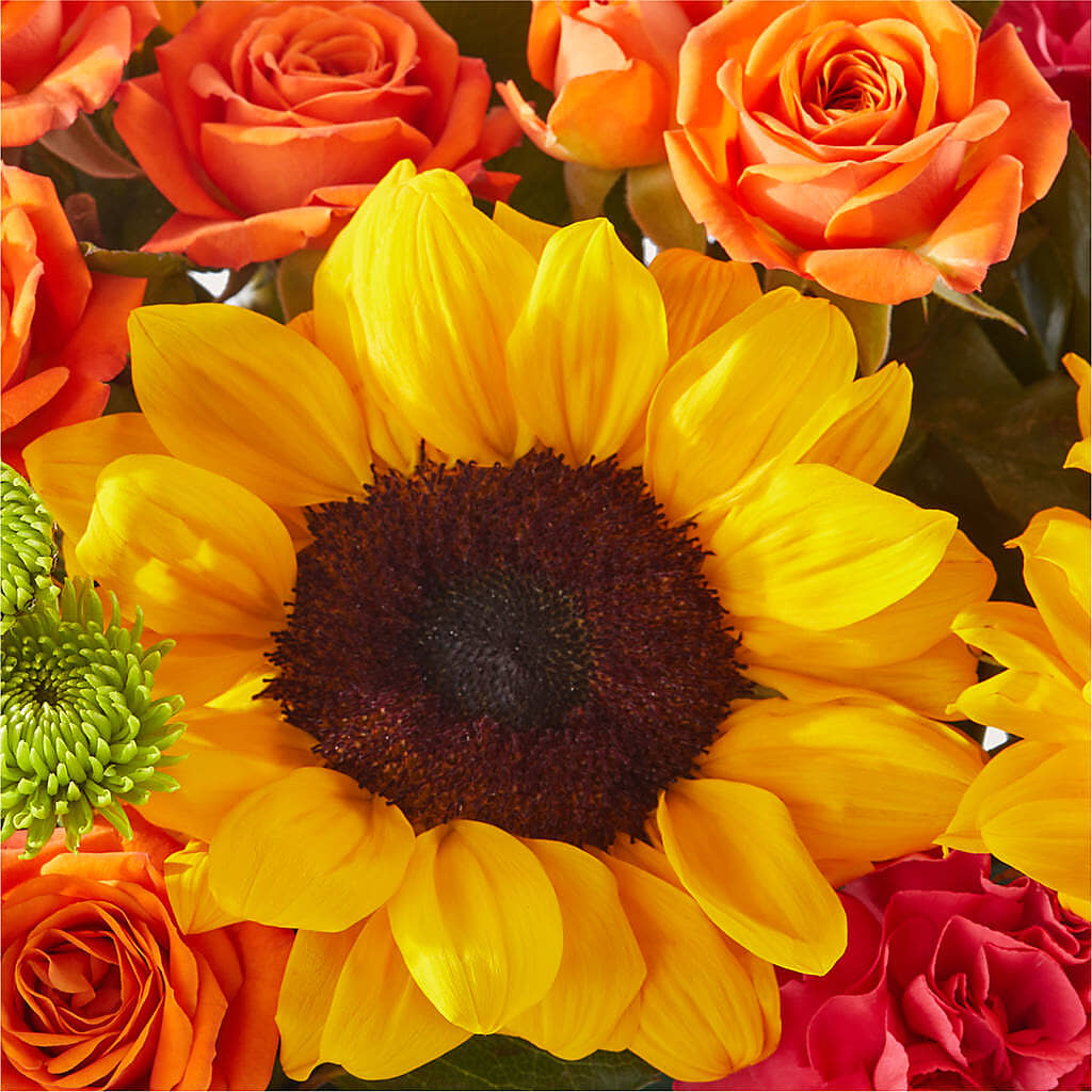 Sun-drenched Blooms Box Bouquet –  Willow Blooms Floral, Marlin TX