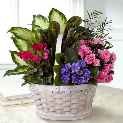 Peaceful Garden Planter –  Willow Blooms Floral, Marlin TX