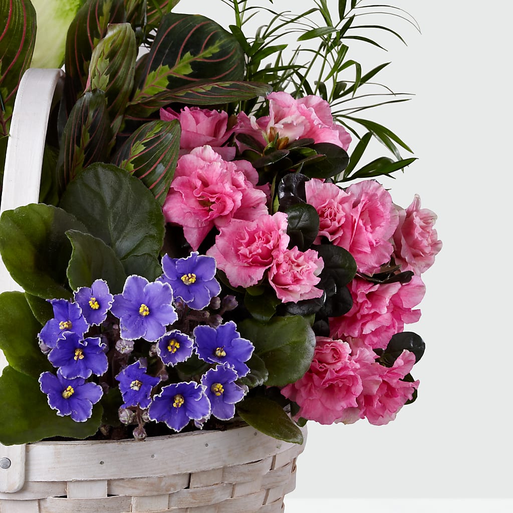 Peaceful Garden Planter –  Willow Blooms Floral, Marlin TX