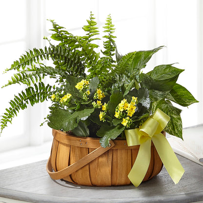 Always Dear Dishgarden –  Willow Blooms Floral, Marlin TX