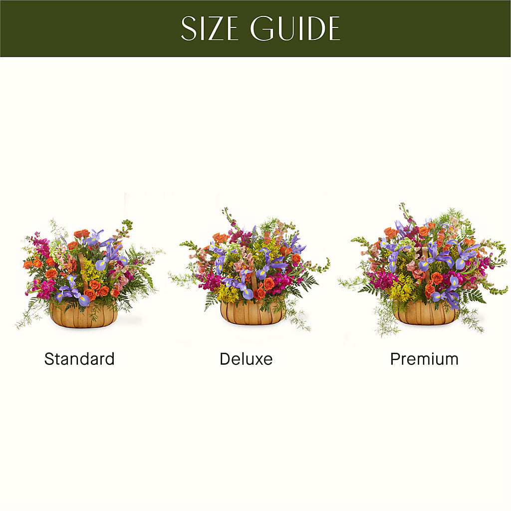 Garden of Life Basket –  Willow Blooms Floral, Marlin TX