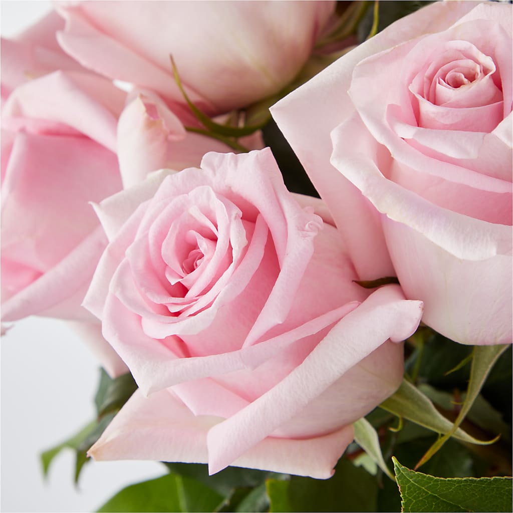 Picture Perfect Pink Rose Bouquet –  Willow Blooms Floral, Marlin TX
