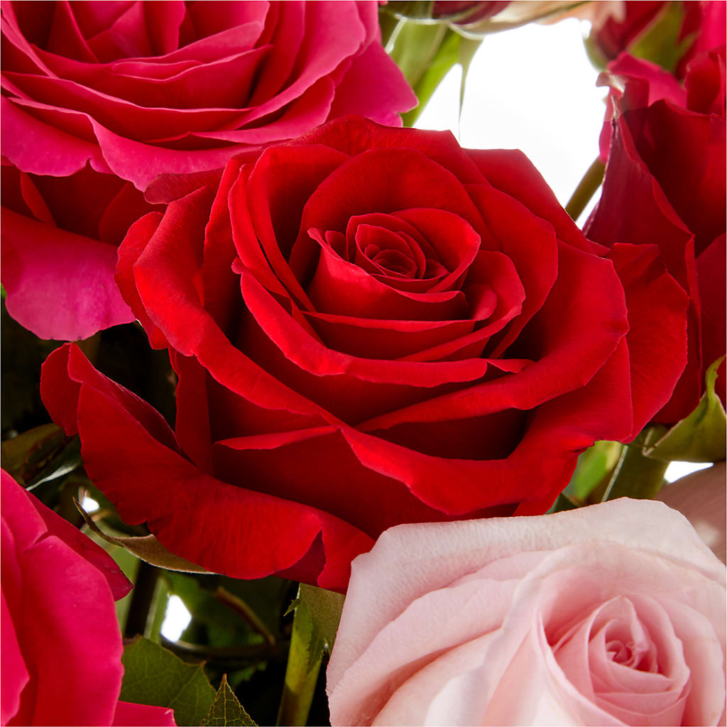 Love Notes Rose Bouquet –  Willow Blooms Floral, Marlin TX