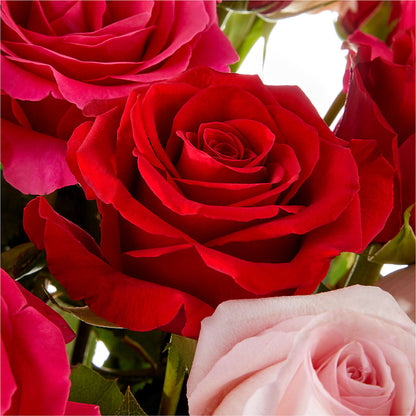 Love Notes Rose Bouquet –  Willow Blooms Floral, Marlin TX