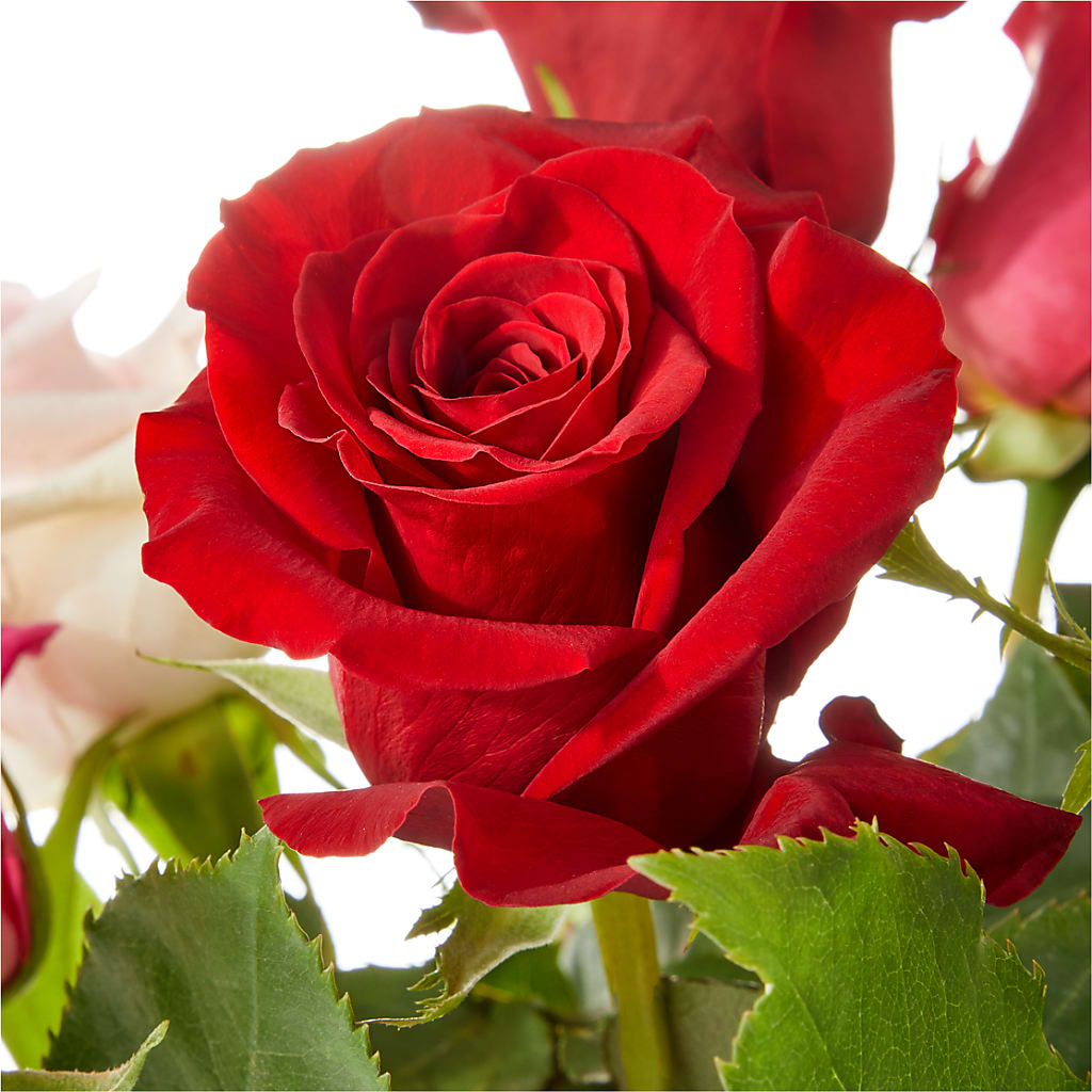 Love Notes Rose Bouquet –  Willow Blooms Floral, Marlin TX