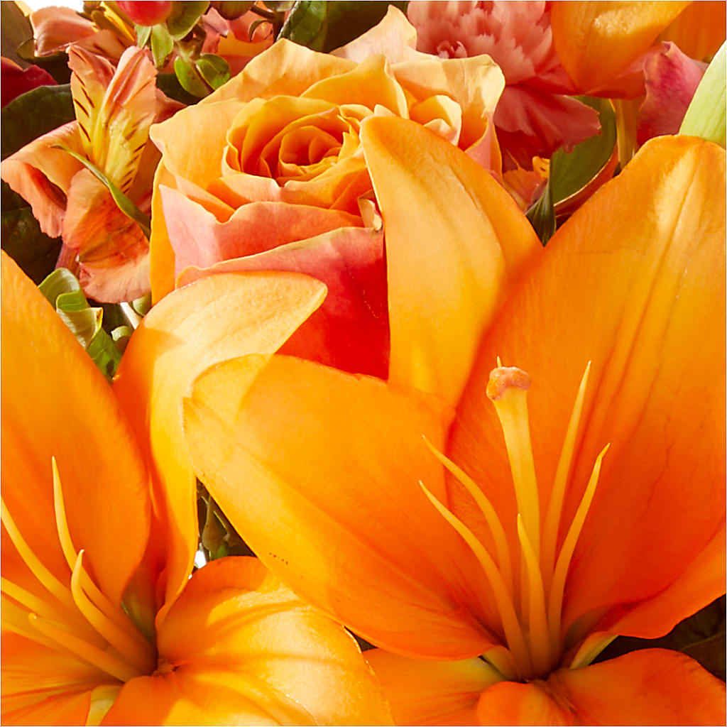 Afternoon Light Bouquet –  Willow Blooms Floral, Marlin TX