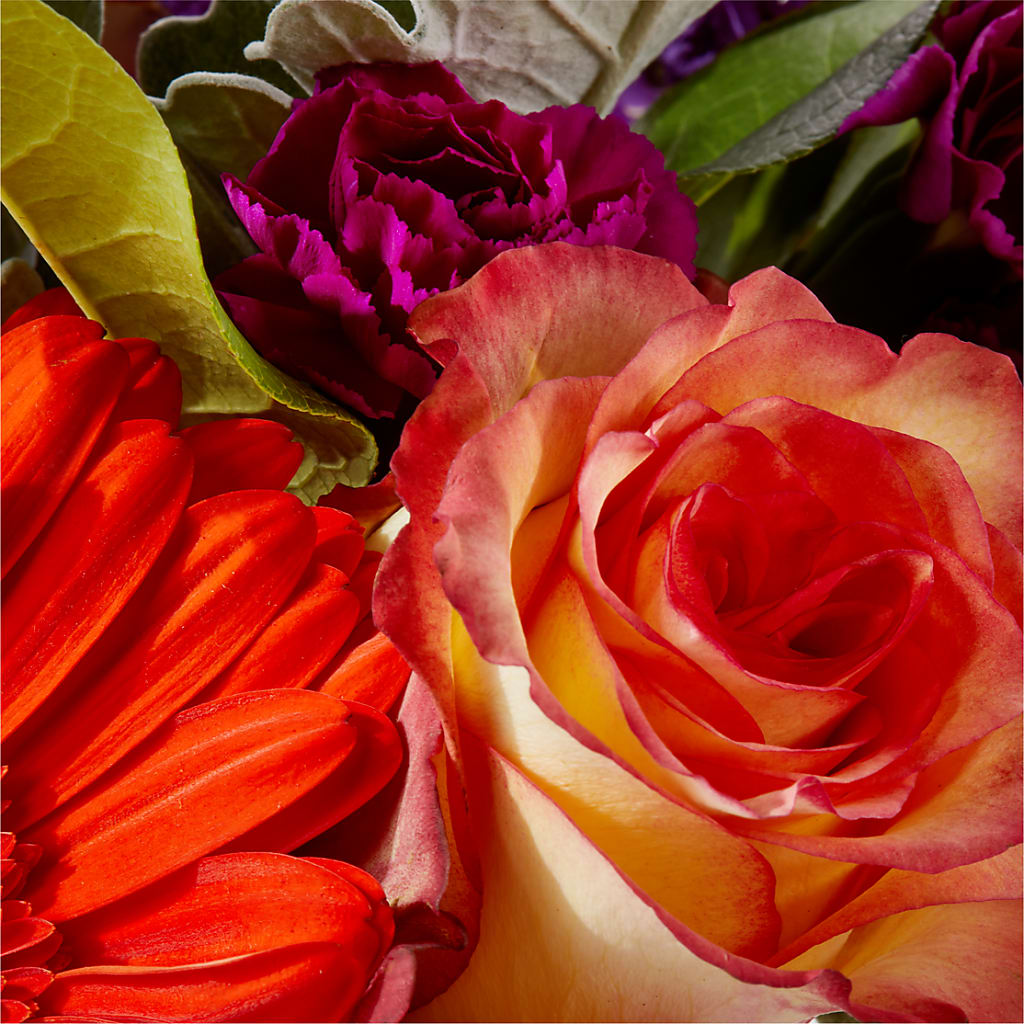 Sangria Bouquet –  Willow Blooms Floral, Marlin TX