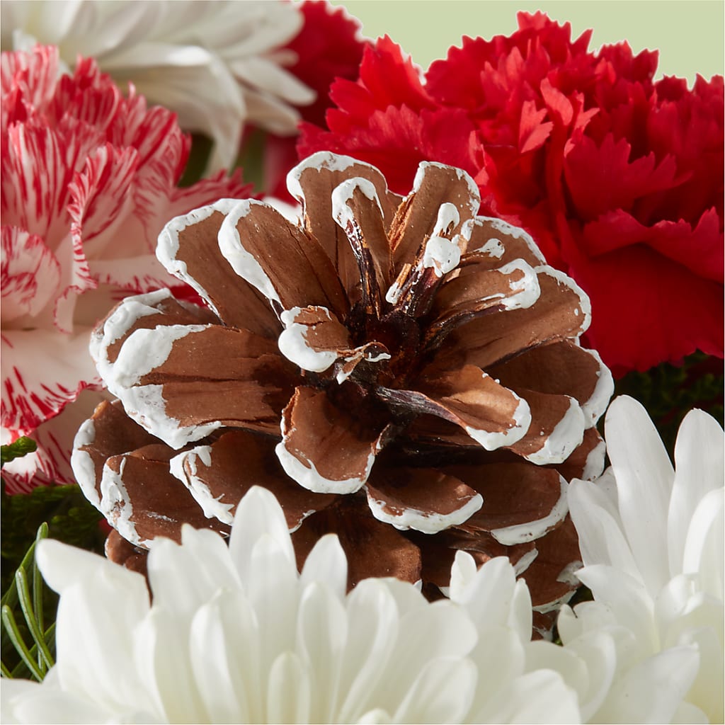 Candy Cane Lane Bouquet –  Willow Blooms Floral, Marlin TX