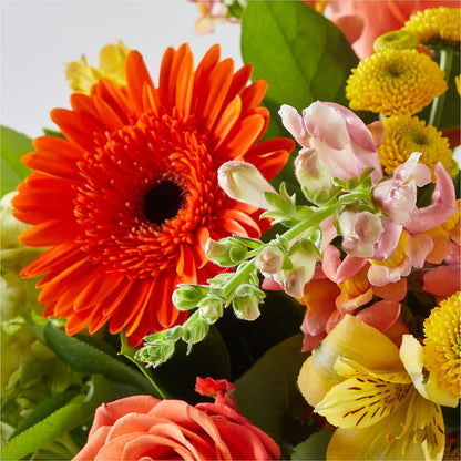Autumn Sunshine Bouquet –  Willow Blooms Floral, Marlin TX