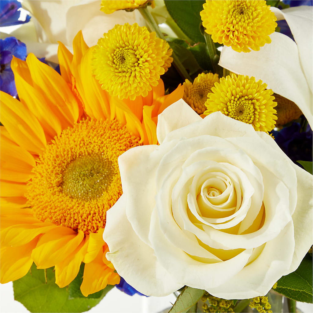 Stargazing Bouquet –  Willow Blooms Floral, Marlin TX
