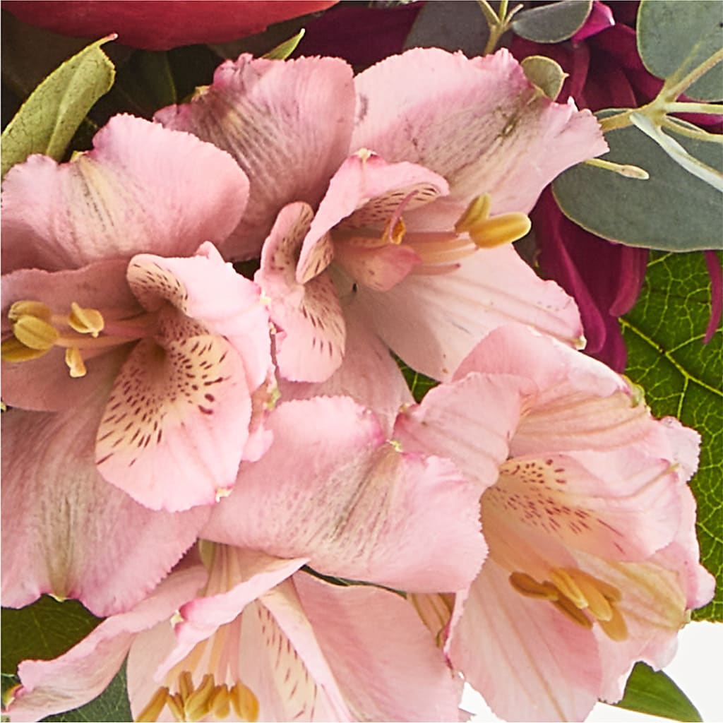 Berry Cobbler Bouquet –  Willow Blooms Floral, Marlin TX