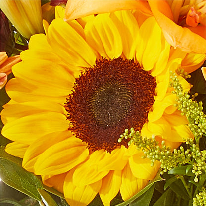 Seasons Change Bouquet –  Willow Blooms Floral, Marlin TX